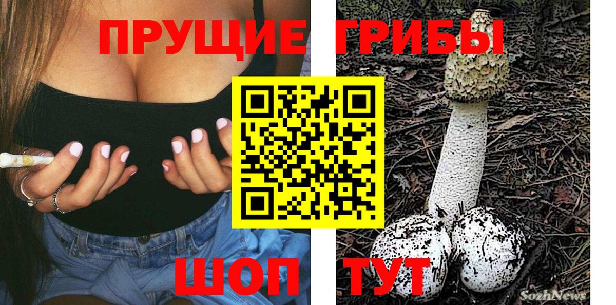 Псилоцибиновые грибы GOLDEN TEACHER  Вход с VPN  Нижнеудинск  Галлюциногенные грибы Cubensis 