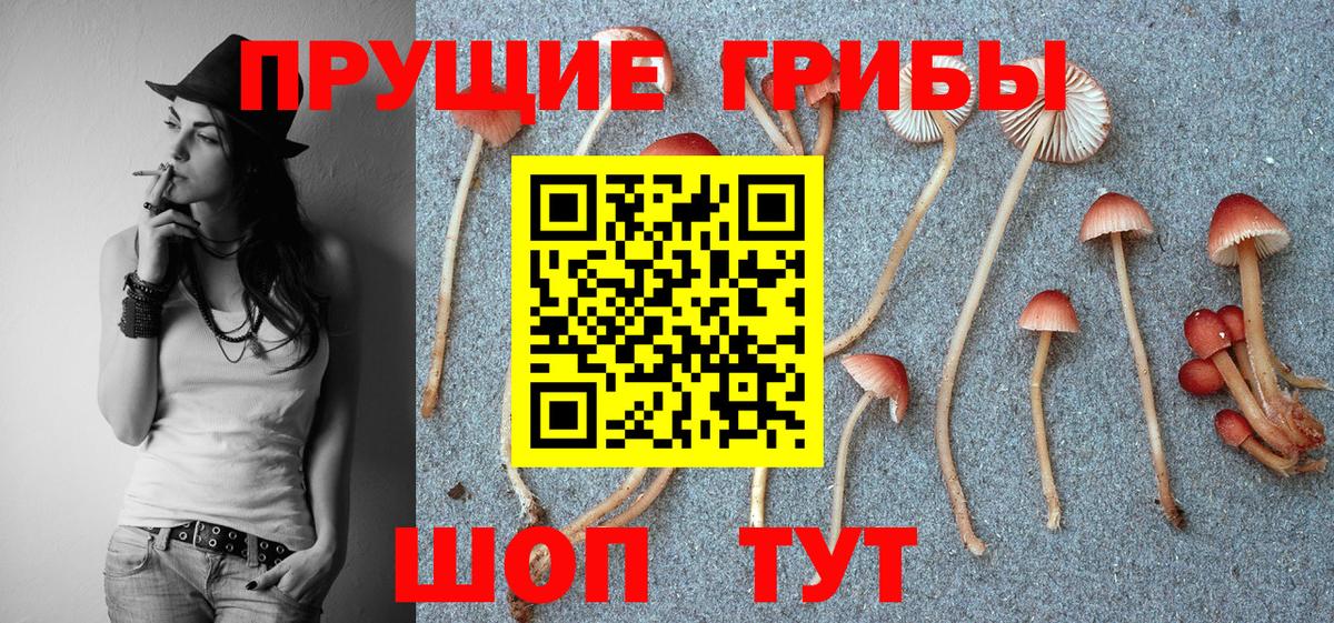 Галлюциногенные грибы прущие грибы Нижнеудинск